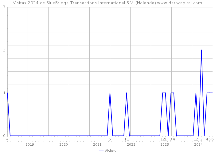 Visitas 2024 de BlueBridge Transactions International B.V. (Holanda) 