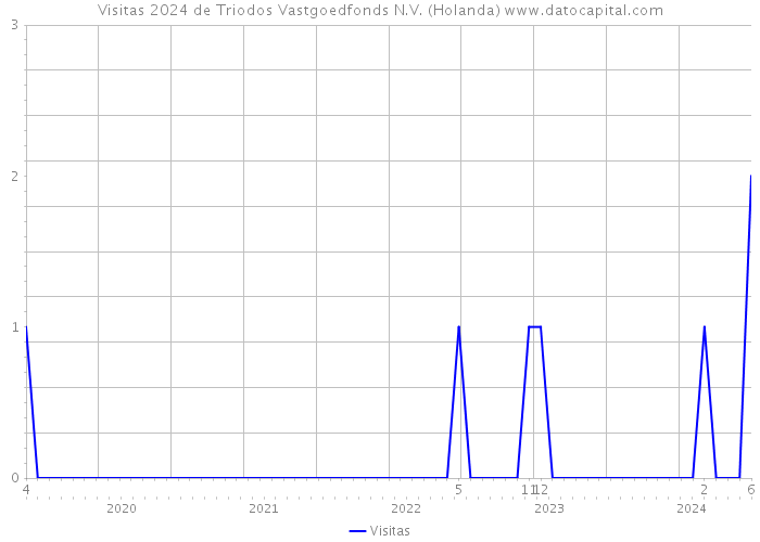 Visitas 2024 de Triodos Vastgoedfonds N.V. (Holanda) 