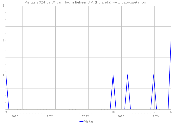 Visitas 2024 de W. van Hoorn Beheer B.V. (Holanda) 