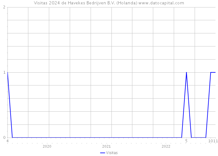 Visitas 2024 de Havekes Bedrijven B.V. (Holanda) 