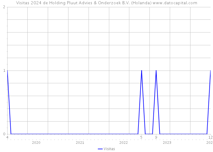 Visitas 2024 de Holding Pluut Advies & Onderzoek B.V. (Holanda) 