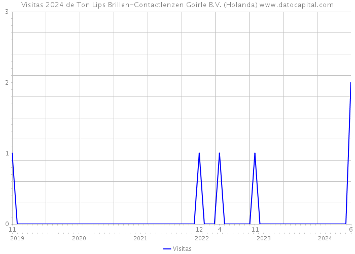 Visitas 2024 de Ton Lips Brillen-Contactlenzen Goirle B.V. (Holanda) 