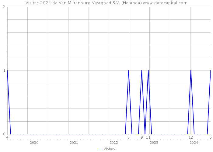 Visitas 2024 de Van Miltenburg Vastgoed B.V. (Holanda) 