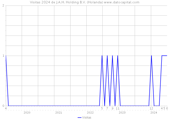 Visitas 2024 de J.A.H. Holding B.V. (Holanda) 