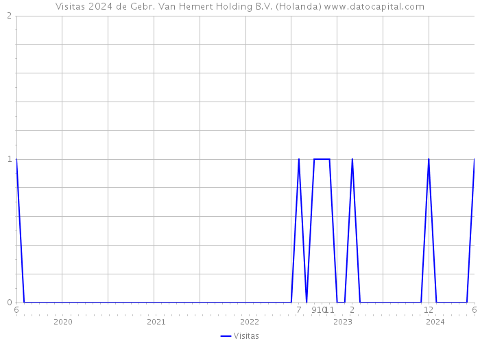 Visitas 2024 de Gebr. Van Hemert Holding B.V. (Holanda) 