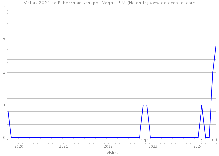 Visitas 2024 de Beheermaatschappij Veghel B.V. (Holanda) 