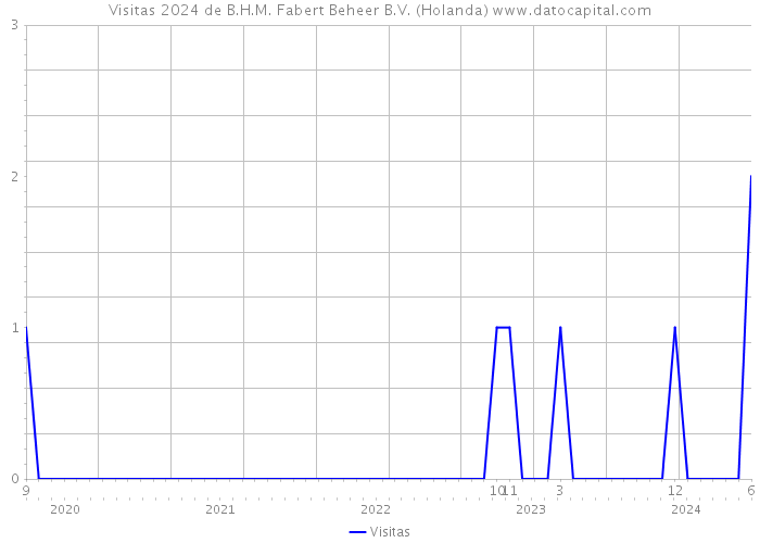 Visitas 2024 de B.H.M. Fabert Beheer B.V. (Holanda) 