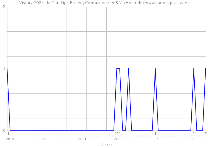 Visitas 2024 de Ton Lips Brillen/Contactlenzen B.V. (Holanda) 