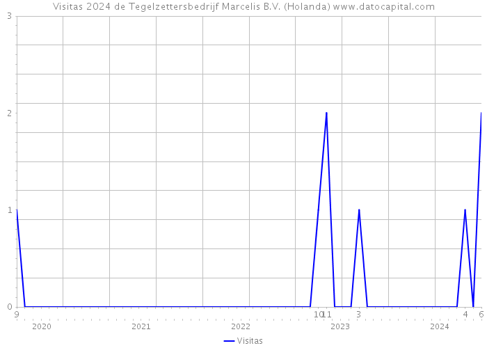 Visitas 2024 de Tegelzettersbedrijf Marcelis B.V. (Holanda) 