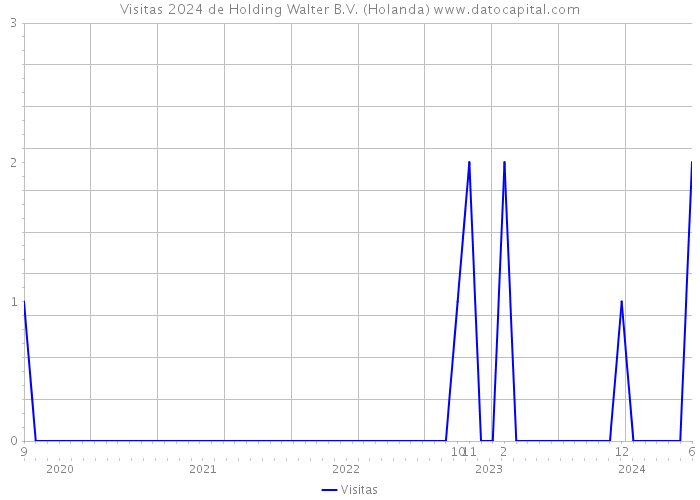 Visitas 2024 de Holding Walter B.V. (Holanda) 