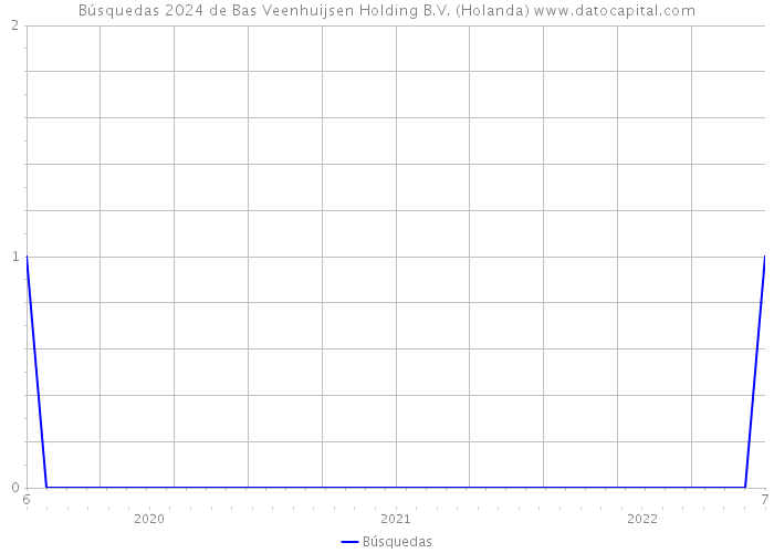 Búsquedas 2024 de Bas Veenhuijsen Holding B.V. (Holanda) 