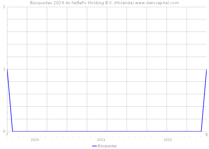Búsquedas 2024 de NeBaPo Holding B.V. (Holanda) 