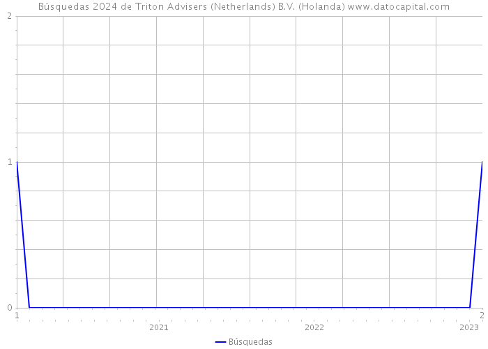 Búsquedas 2024 de Triton Advisers (Netherlands) B.V. (Holanda) 