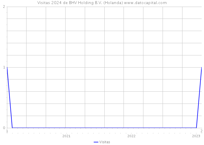 Visitas 2024 de BHV Holding B.V. (Holanda) 