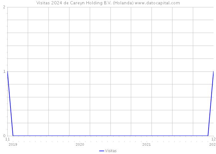 Visitas 2024 de Careyn Holding B.V. (Holanda) 