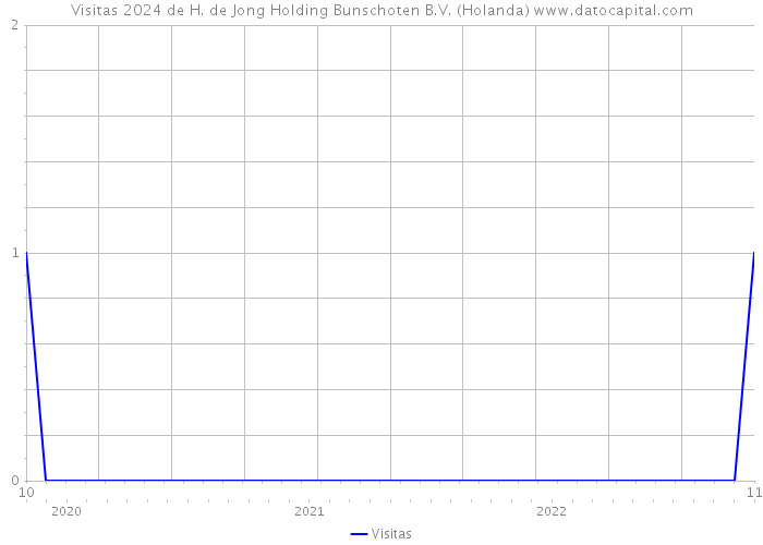 Visitas 2024 de H. de Jong Holding Bunschoten B.V. (Holanda) 