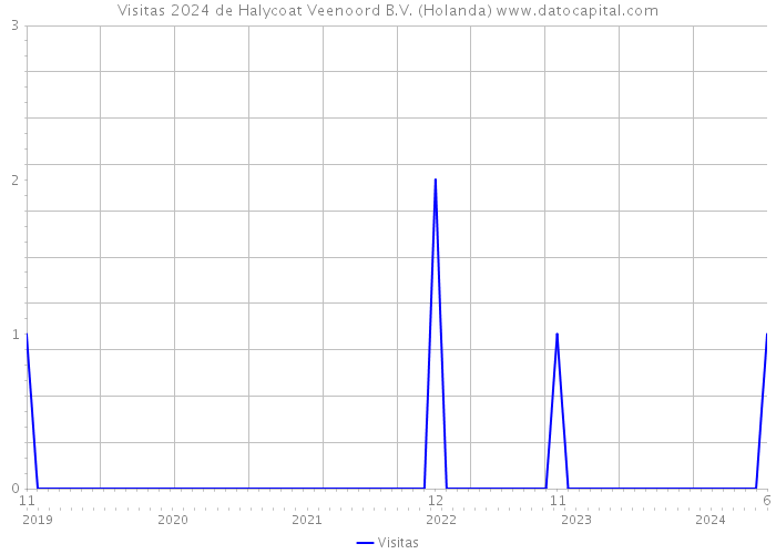 Visitas 2024 de Halycoat Veenoord B.V. (Holanda) 