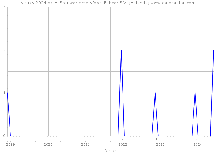 Visitas 2024 de H. Brouwer Amersfoort Beheer B.V. (Holanda) 