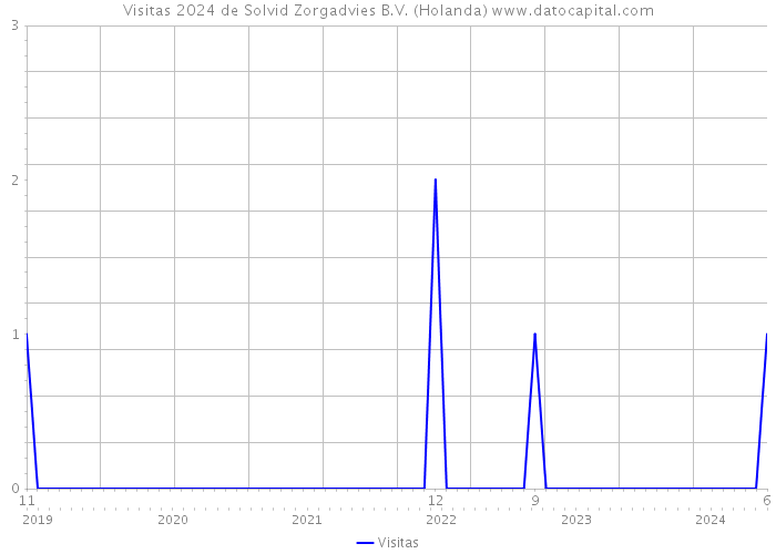 Visitas 2024 de Solvid Zorgadvies B.V. (Holanda) 