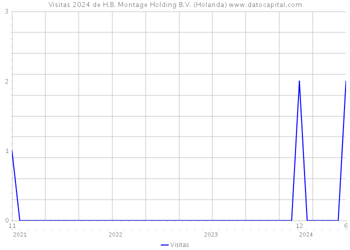 Visitas 2024 de H.B. Montage Holding B.V. (Holanda) 