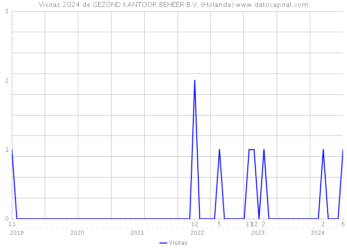 Visitas 2024 de GEZOND KANTOOR BEHEER B.V. (Holanda) 