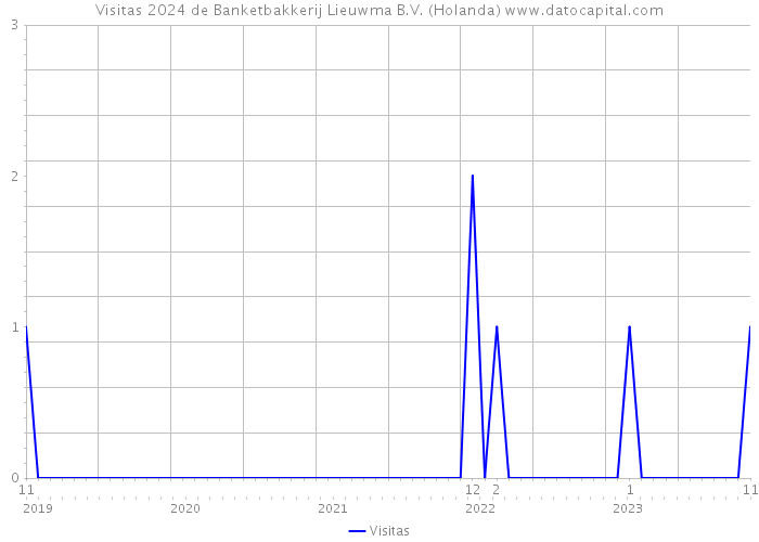 Visitas 2024 de Banketbakkerij Lieuwma B.V. (Holanda) 