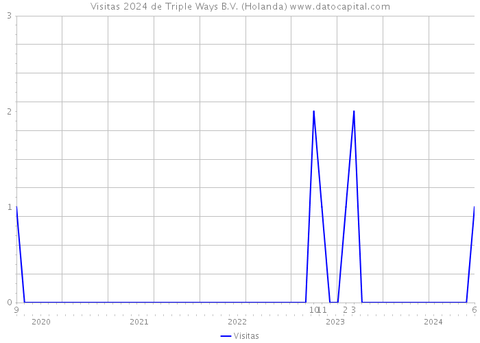 Visitas 2024 de Triple Ways B.V. (Holanda) 