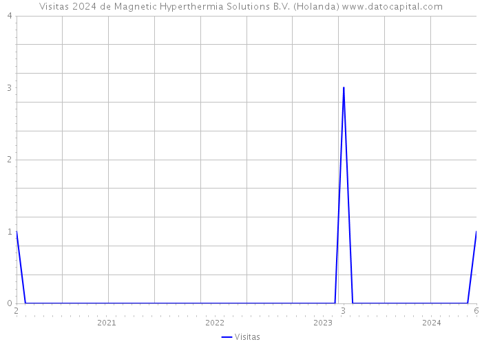 Visitas 2024 de Magnetic Hyperthermia Solutions B.V. (Holanda) 