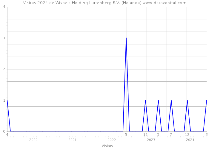 Visitas 2024 de Wispels Holding Luttenberg B.V. (Holanda) 