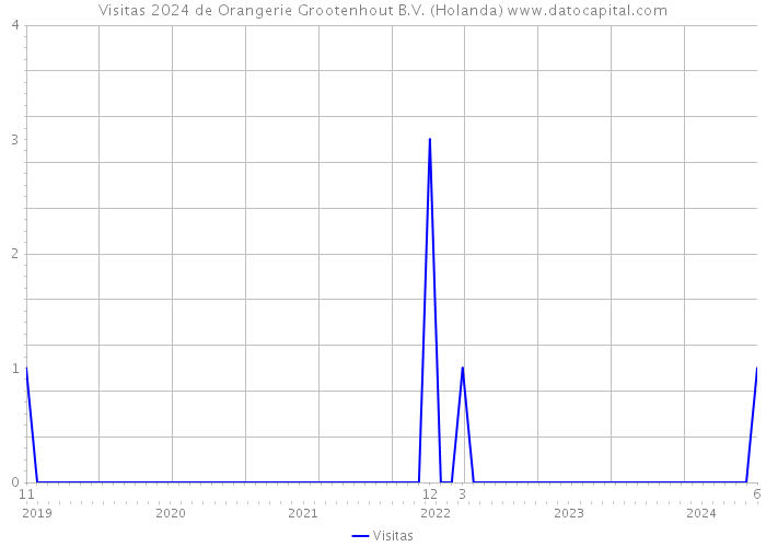 Visitas 2024 de Orangerie Grootenhout B.V. (Holanda) 