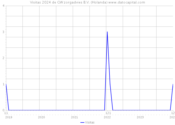 Visitas 2024 de GW zorgadvies B.V. (Holanda) 