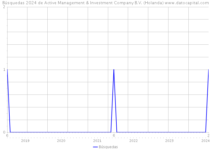 Búsquedas 2024 de Active Management & Investment Company B.V. (Holanda) 