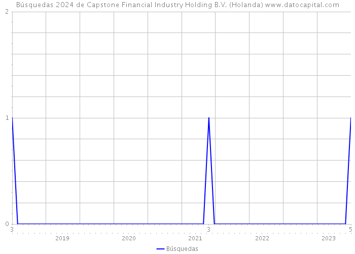 Búsquedas 2024 de Capstone Financial Industry Holding B.V. (Holanda) 