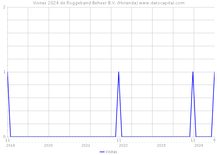 Visitas 2024 de Roggeband Beheer B.V. (Holanda) 