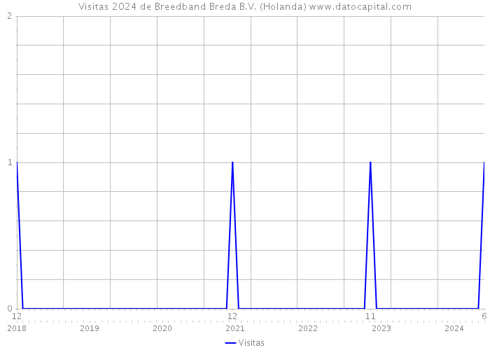 Visitas 2024 de Breedband Breda B.V. (Holanda) 