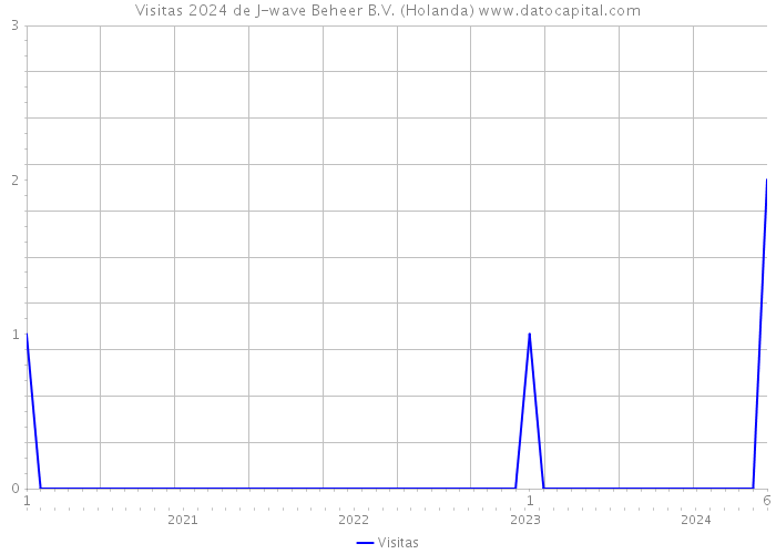 Visitas 2024 de J-wave Beheer B.V. (Holanda) 