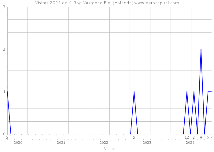 Visitas 2024 de K. Rog Vastgoed B.V. (Holanda) 