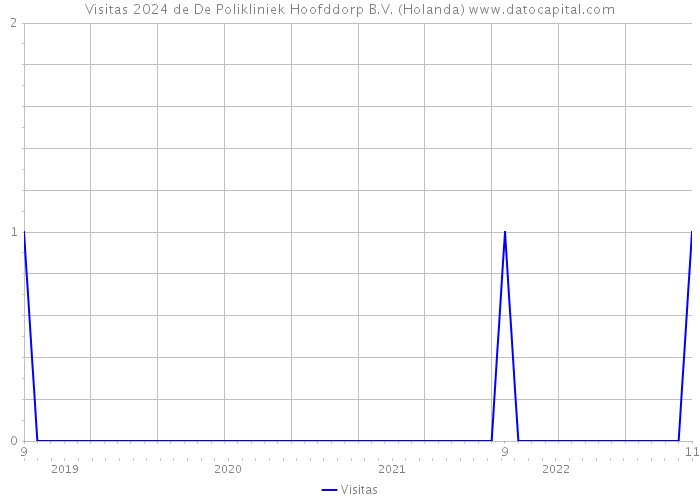 Visitas 2024 de De Polikliniek Hoofddorp B.V. (Holanda) 