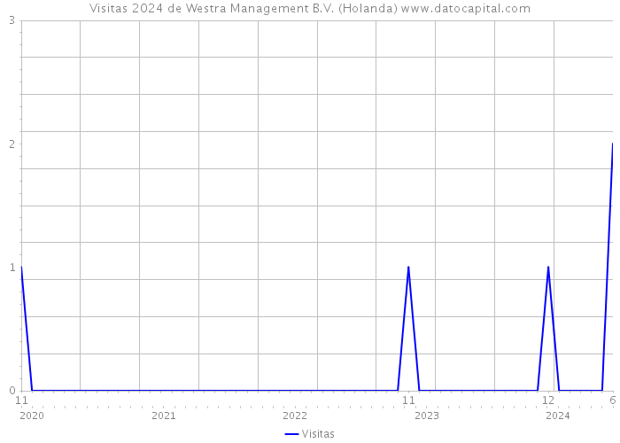 Visitas 2024 de Westra Management B.V. (Holanda) 