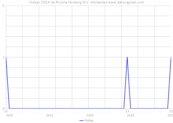 Visitas 2024 de Prisma Holding N.V. (Holanda) 