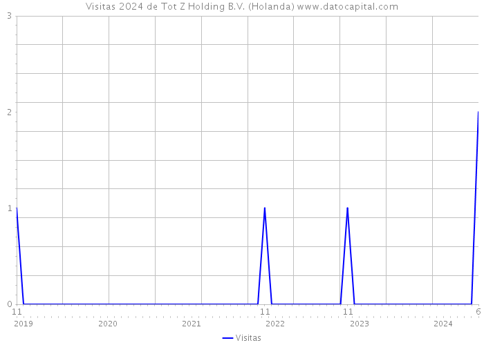 Visitas 2024 de Tot Z Holding B.V. (Holanda) 