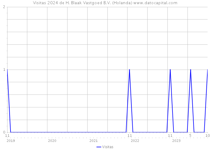 Visitas 2024 de H. Blaak Vastgoed B.V. (Holanda) 