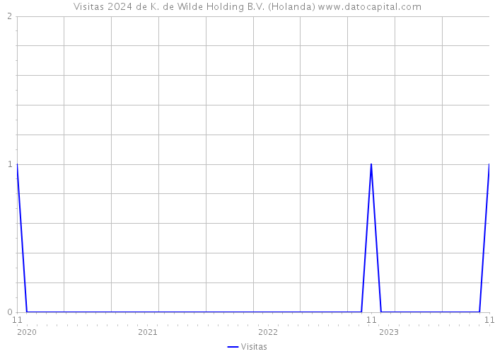 Visitas 2024 de K. de Wilde Holding B.V. (Holanda) 