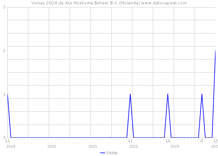 Visitas 2024 de Ate Hoeksma Beheer B.V. (Holanda) 