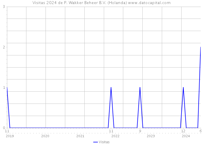 Visitas 2024 de P. Wakker Beheer B.V. (Holanda) 