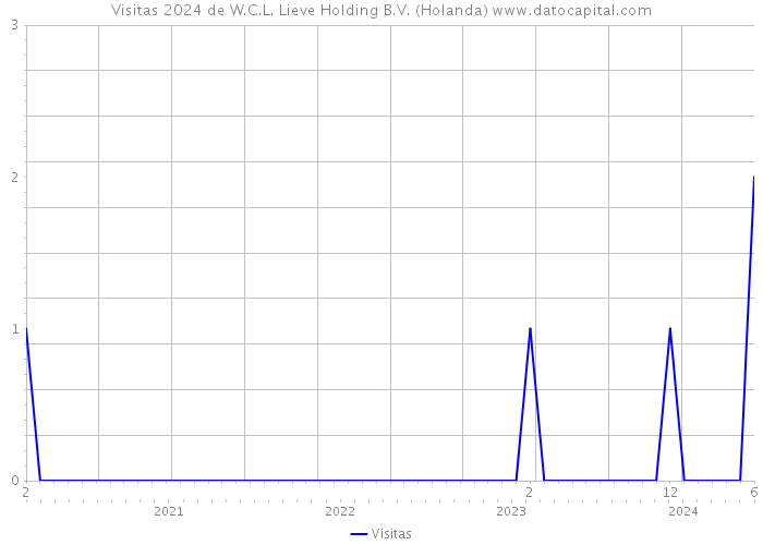 Visitas 2024 de W.C.L. Lieve Holding B.V. (Holanda) 