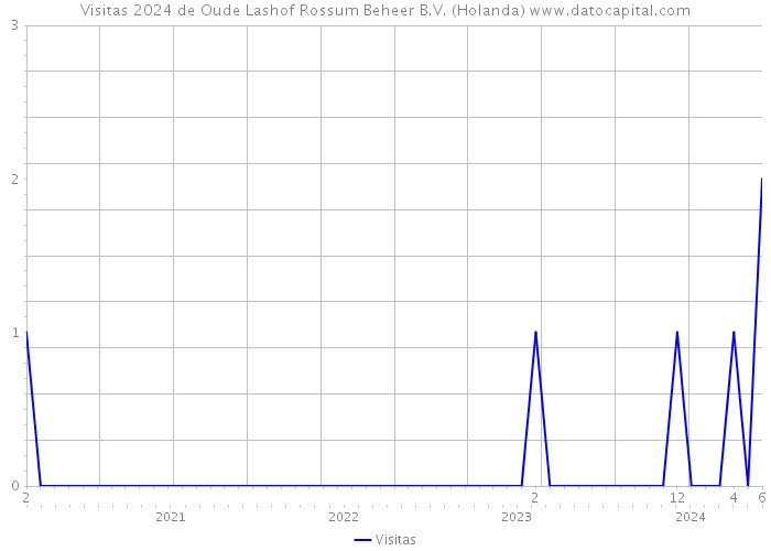 Visitas 2024 de Oude Lashof Rossum Beheer B.V. (Holanda) 