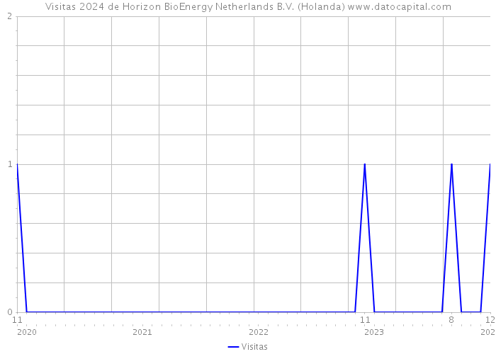 Visitas 2024 de Horizon BioEnergy Netherlands B.V. (Holanda) 