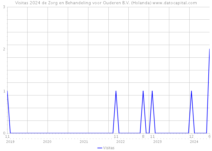 Visitas 2024 de Zorg en Behandeling voor Ouderen B.V. (Holanda) 