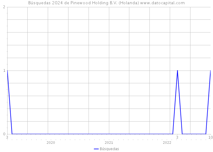 Búsquedas 2024 de Pinewood Holding B.V. (Holanda) 